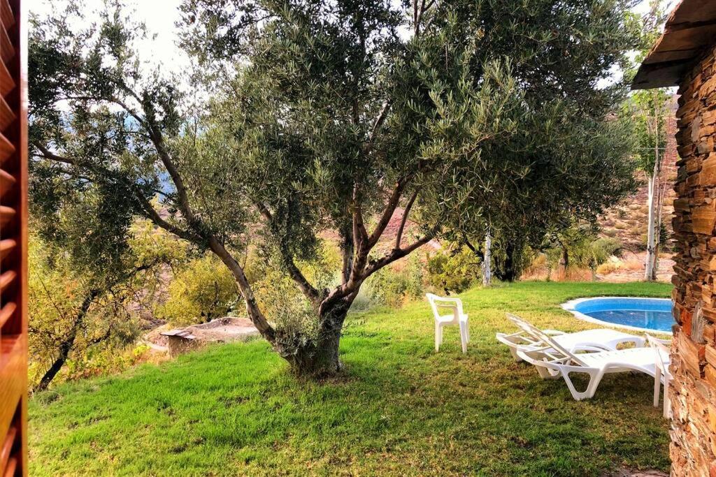 הוילה Mecina Alfahar Casa El Higueral מראה חיצוני תמונה