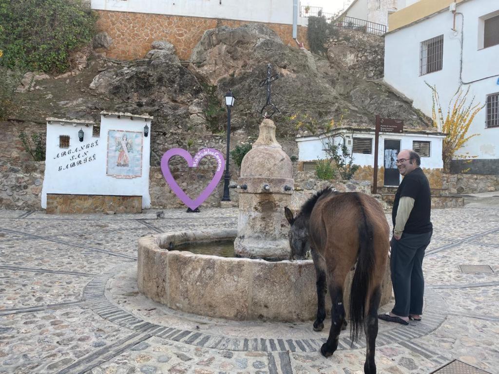 הוילה Mecina Alfahar Casa El Higueral מראה חיצוני תמונה